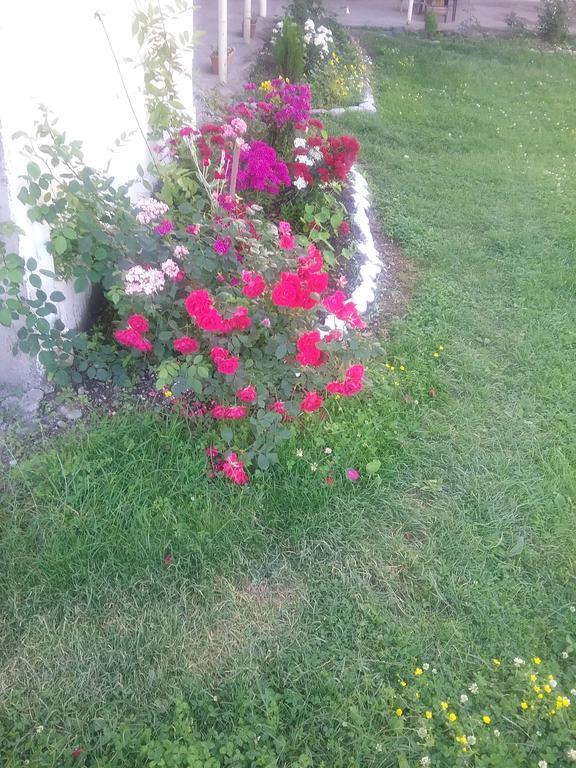 Guest House Anisa Birkiani Exterior foto